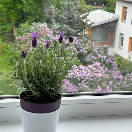 Spacious 56 M2 In The Quiet Center, Free Private Underground Parking & Self Check-in Appartement Riga