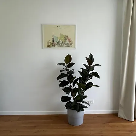 Spacious 56 M2 In The Quiet Center, Free Private Underground Parking & Self Check-in Appartement *